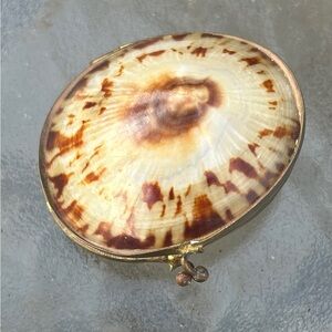 Antique Shell Coin Purse